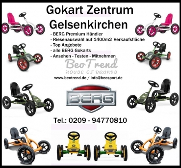 BERG Gokart Bremsbacken 2 Stk. f. Modelle ab 2015